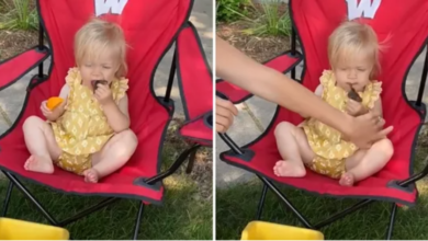 Na imagem a bebê quase come um sapo, mas é impedida pela mãe.