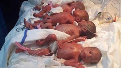 Os bebês nasceram saudáveis. São seis meninas e um menino.